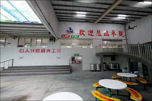 特立獨行的工業(yè)旅游體驗 探訪臺灣白人牙膏觀光工廠
